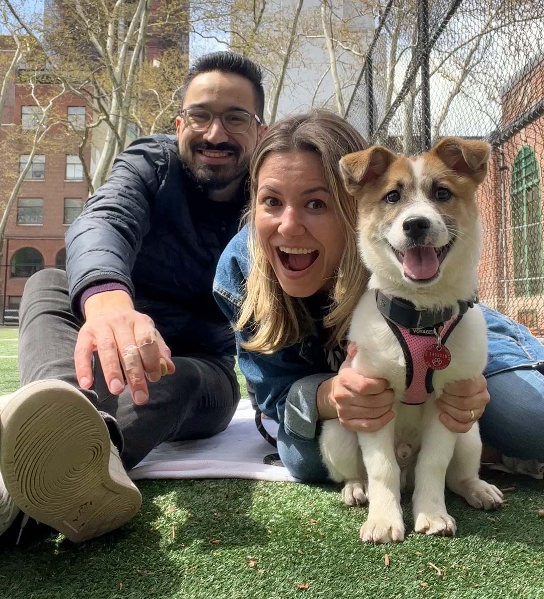Como adotar um cachorro em Nova York - nossa experiência! – Blog